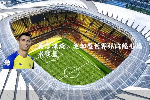 高原球场：美加墨世界杯的隐形战术变量
